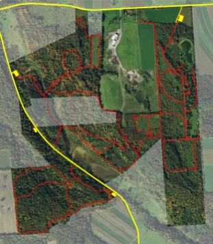Satelite view of Federal Farm and adjacent areas.